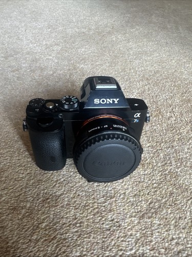 Sony a7s with mount - ef-e,