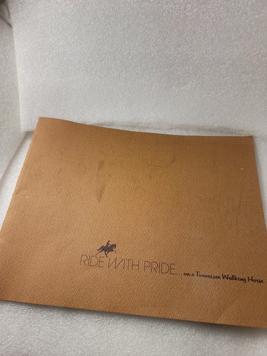 Rare vintage tennessee - vintage,