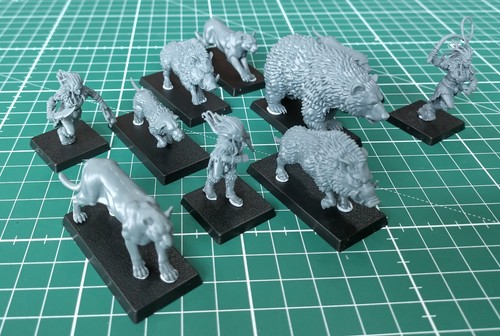 Highlands miniatures feral - highlands,