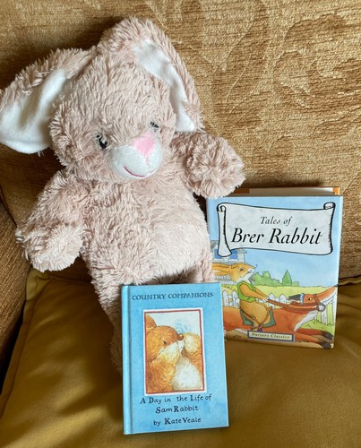 Tales brer rabbit day in - brer,