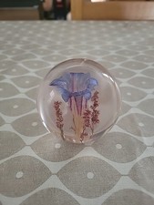 Hippocampus Embedments