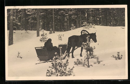 Photo postcard a - photo, postcard: