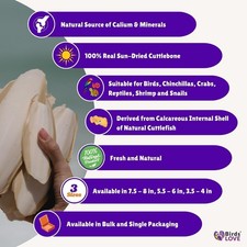 Birds LOVE Natural Cuttlebone