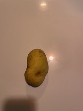 Very Nice Potato