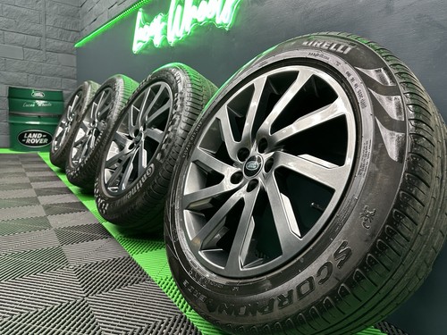 Genuine freelander - genuine, 19”