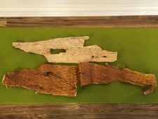 2 Natural Large Birch Bark Sheets Strips Betula Ermanii - Dried Untreated 