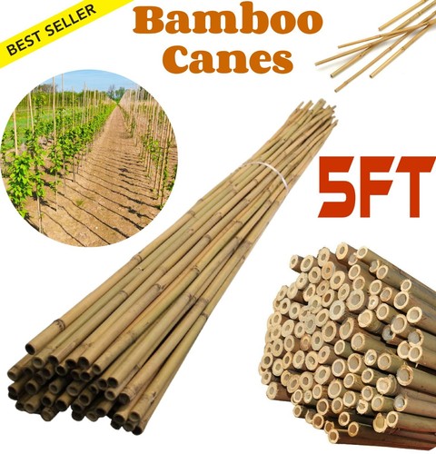 5ft bamboo garden canes - garden,