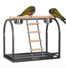 Rainforest Table Top Play Stand for Small & Medium Parrots