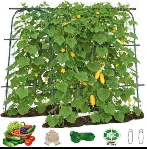 Large metal archway arbor - large,