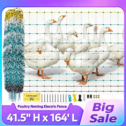 164 l electric - 41.5"h,