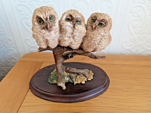 Country artists baby owl group - country,