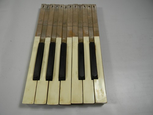 1890s pump organ keys 1 - ?,