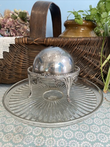 Antique caviar dome globe - caviar,