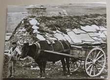 Postcard of Bullock Cart – Posted Stromness, Orkney, 1992 (Se7)