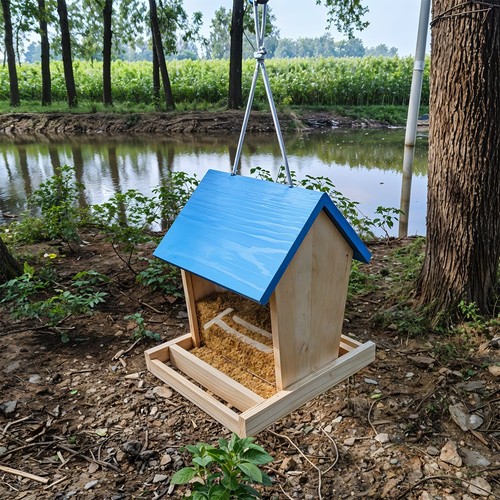 Hanging garden bird - garden,
