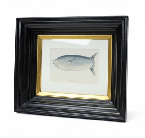 Victorian colour lithograph - victorian,