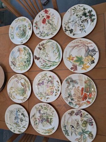 Full set caverswall china - full,