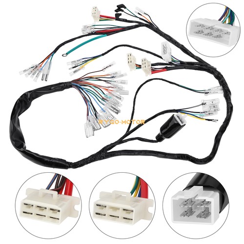 Main wiring harness - main,
