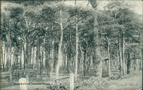 Aldeburgh northfields - aldeburgh,