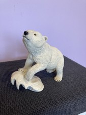 Country Artist Polar Bear