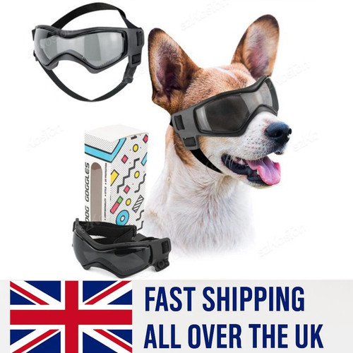 Pet accessories dog - pet, uv