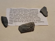Cambridge Argillite Specimen Precambrian Excavated 400' Deep, Deer Island Boston