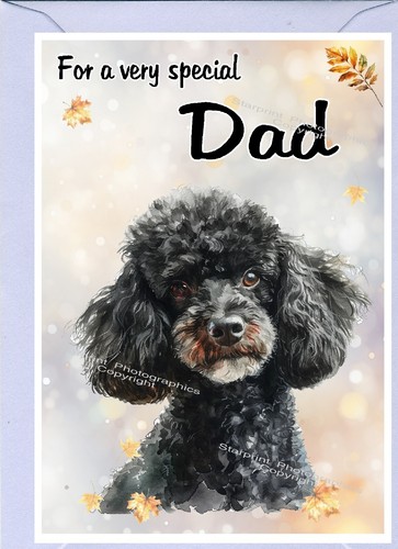 Poodle black dog blank card - dog,