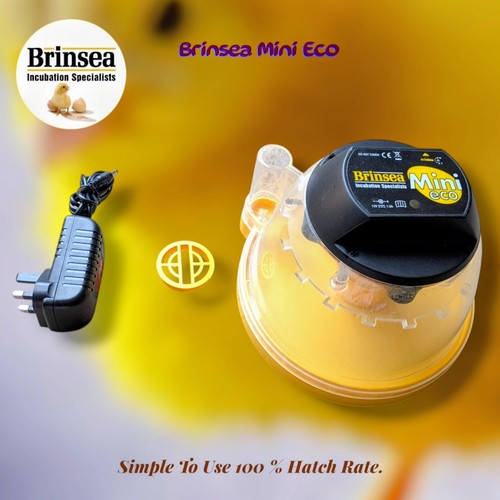 Brinsea mini eco egg incubator - mini,