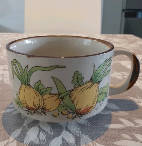Vintage 1970 onion soup - onion,