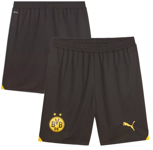 Borussia dortmund football - dortmund,