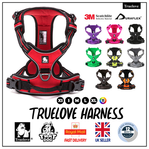 Truelove pull dog - truelove, harness