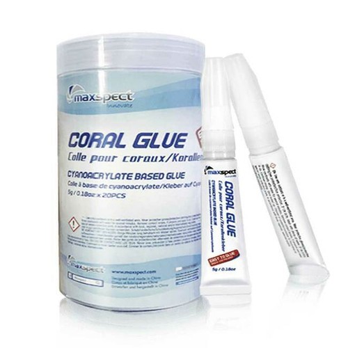 Maxspect coral glue per - glue,