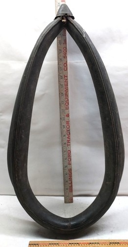 Vintage horse carriage leather - carriage,