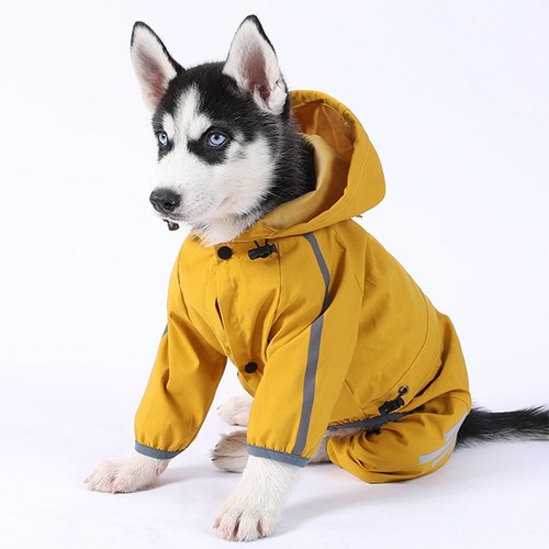 Pet dog raincoat - raincoat, waterproof
