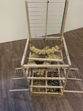 Bird cage trap for runaway - cage,
