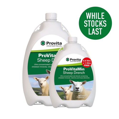 Provita provitamin sheep - provita,
