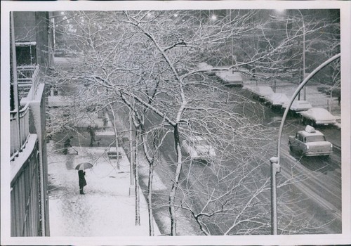 Snow falls city - city, traffic