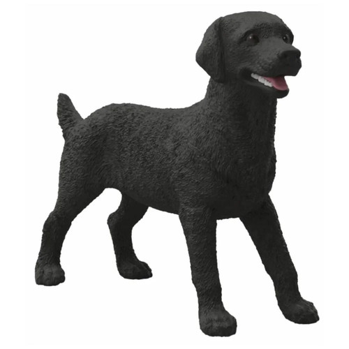 Black labrador female dog - labrador,