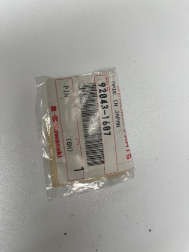 New genuine kawasaki - genuine, w800