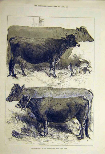 Antique 1876 victorian print - victorian,
