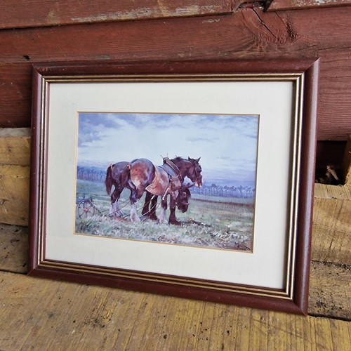 Framed print shirehorses - print,