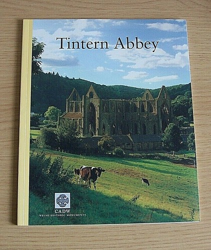 Tintern abbey pictorial - abbey,