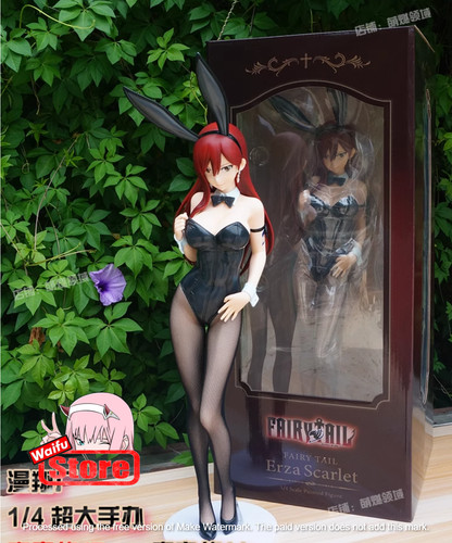 48cm fairy tail - tail, erza