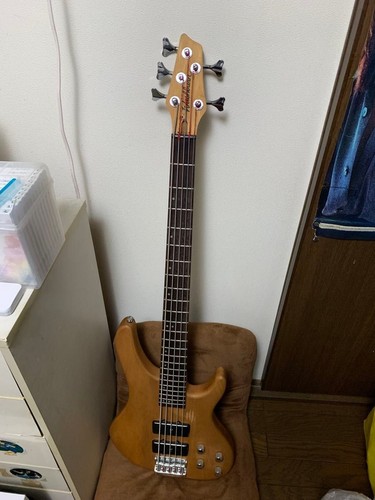 Washburn string electric - 5-string,