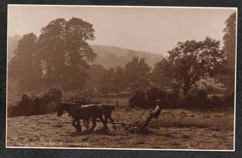 Postcard lyme regis - lyme,