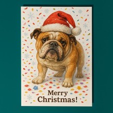 English Bulldog Dog Snout