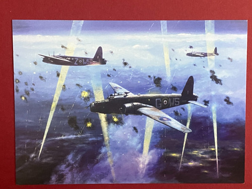Squadron aviation art - ,