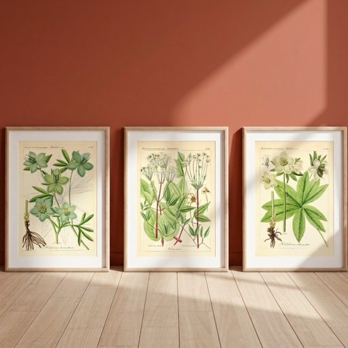 Set vintage botanical - vintage,