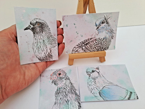 Pigeons aceo originals not - 4x,