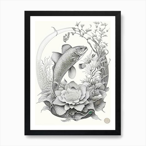 Showa koi fish haeckel - koi,
